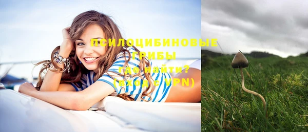 дурь Абдулино